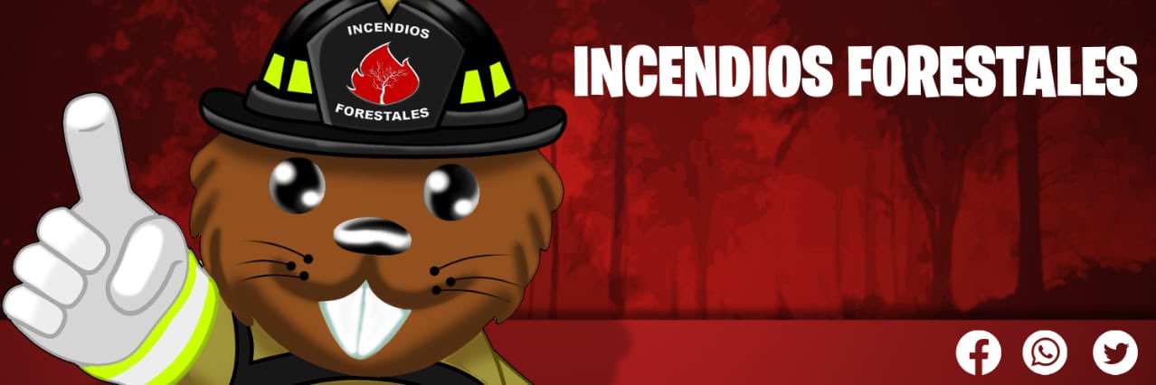 IF V Región banner