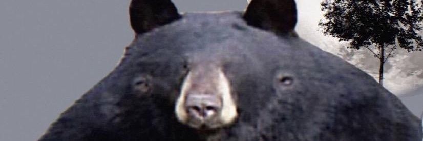 ey_neey's profile banner image