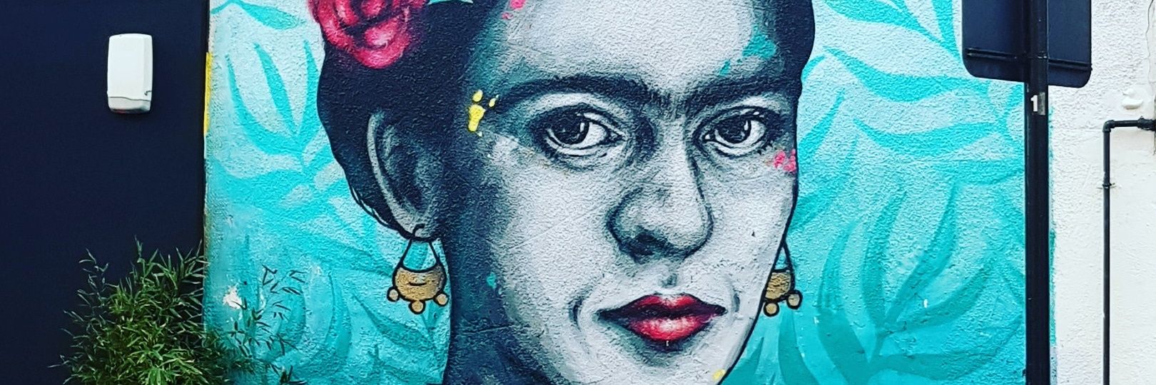 OSedanoMartinez's profile banner image