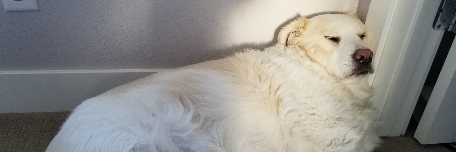 doobadoobadoob's profile banner image