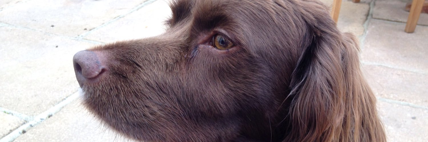 julesp0503's profile banner image