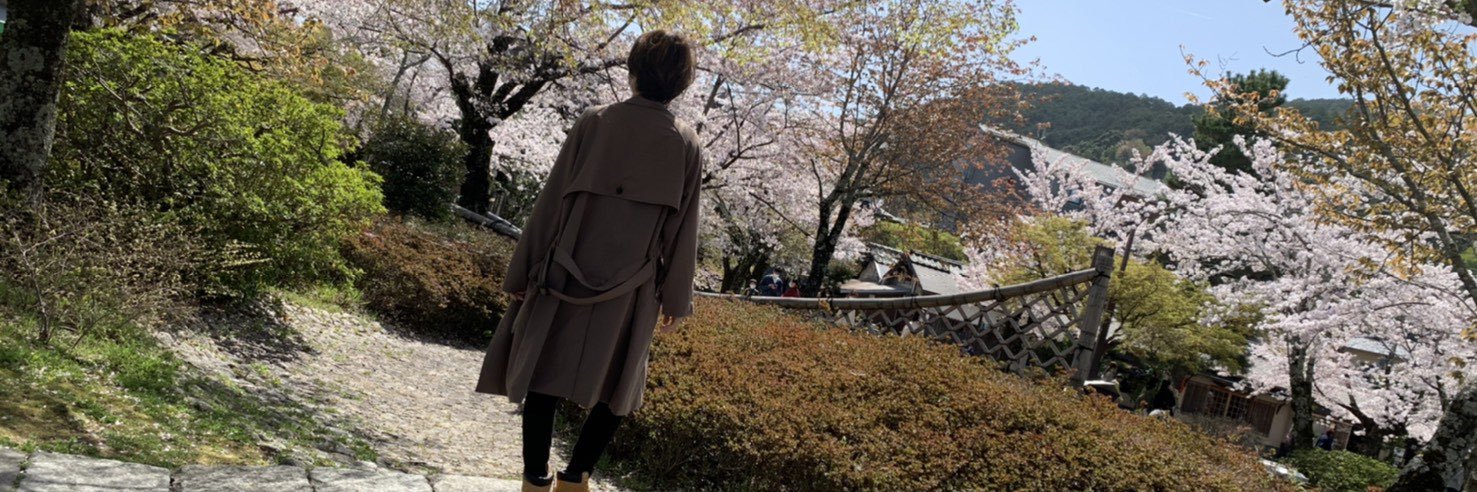 suzu_MIYU's profile banner image