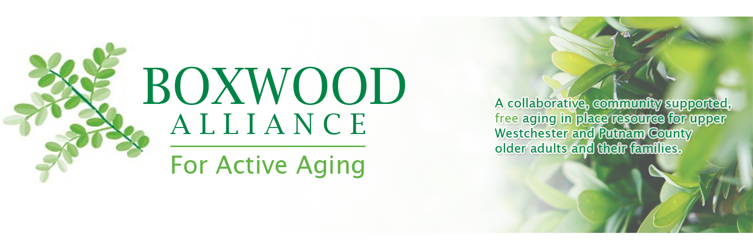 BoxwoodAlliance's profile banner image