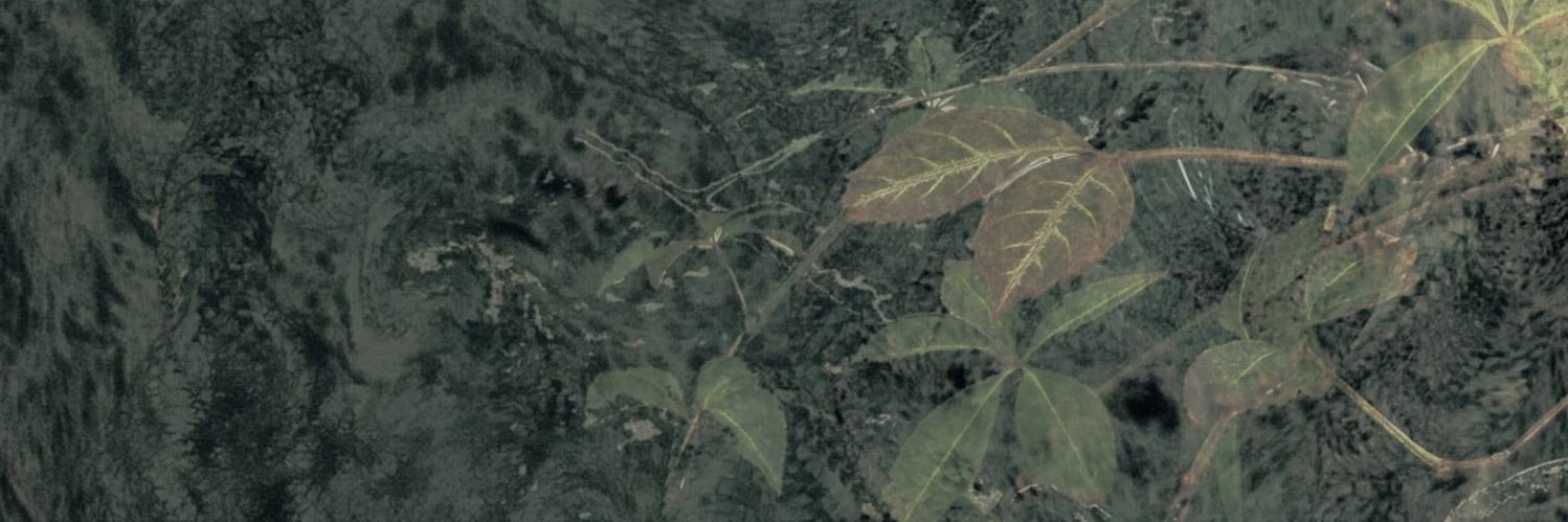 GakGm's profile banner image