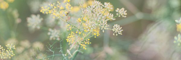 ajnelson_RN Profile Banner