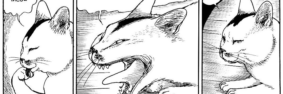 tropeai's profile banner image