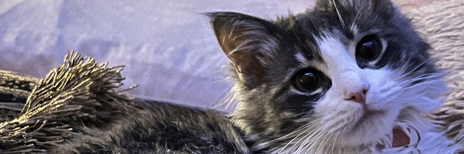 wydjeneen's profile banner image