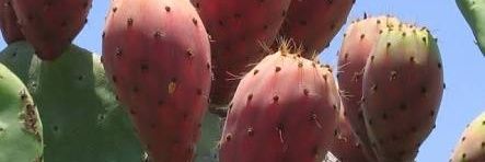 Mm7Mmm4's profile banner image