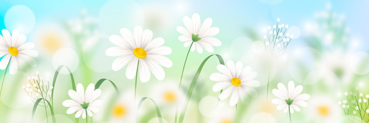 bettathanyuu's profile banner image