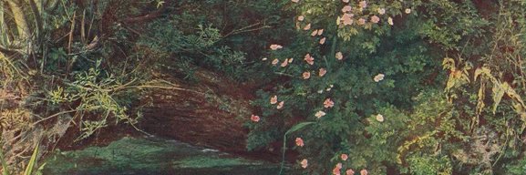 __goldn13's profile banner image