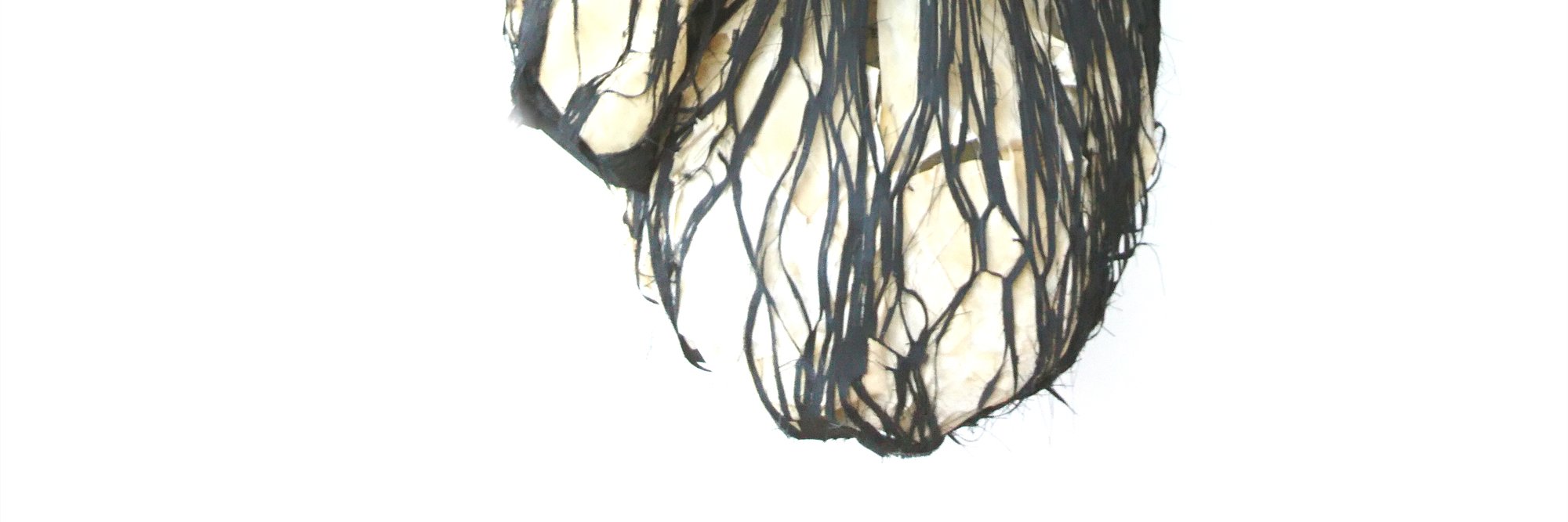 sallyjbarker's profile banner image