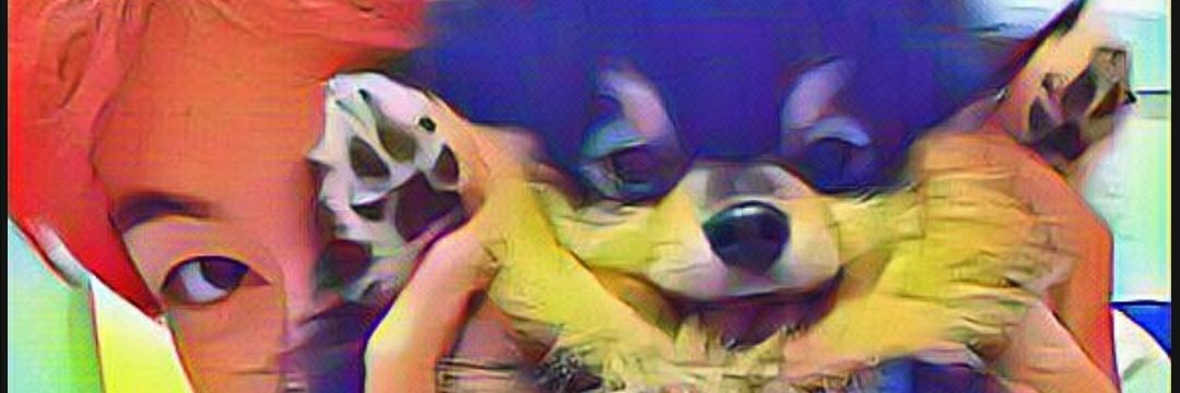 Domenica_MSM's profile banner image