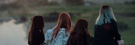 petfreshcheer's profile banner image