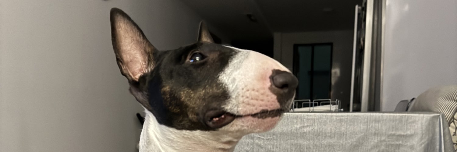 PaulaPedrazaP's profile banner image