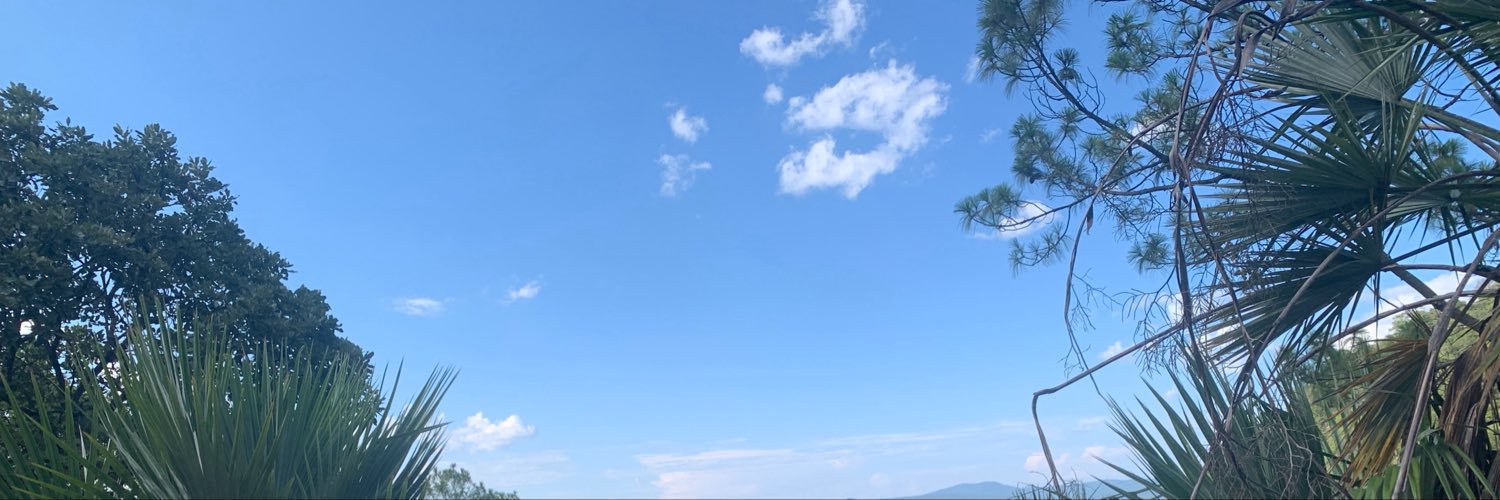 xcarabat's profile banner image