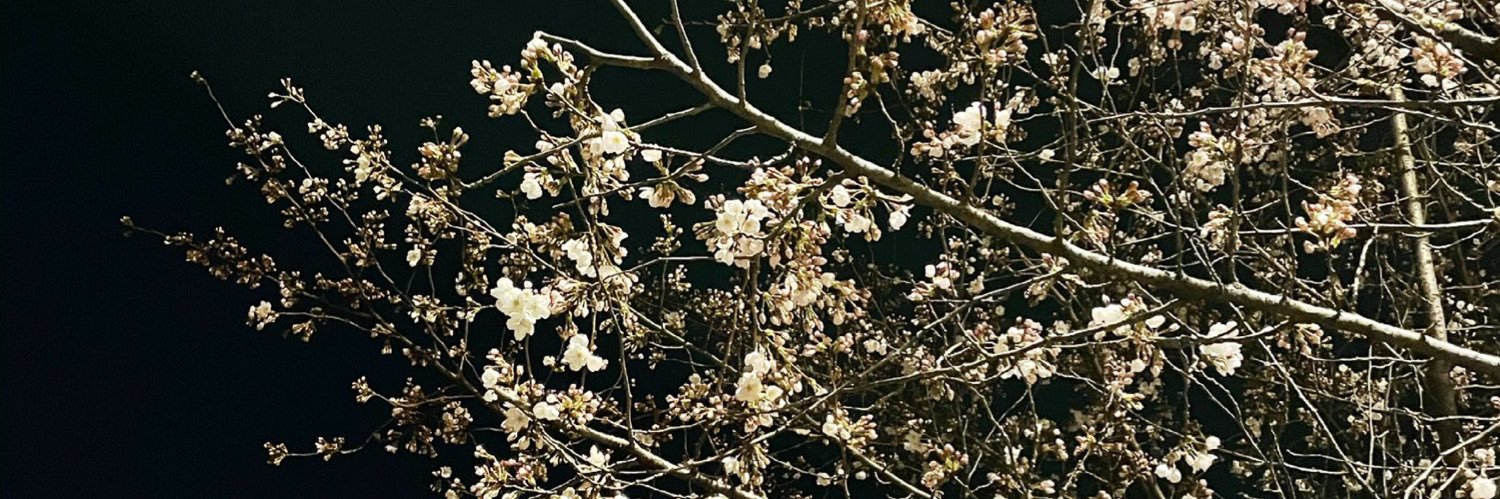 SarahCaleman's profile banner image