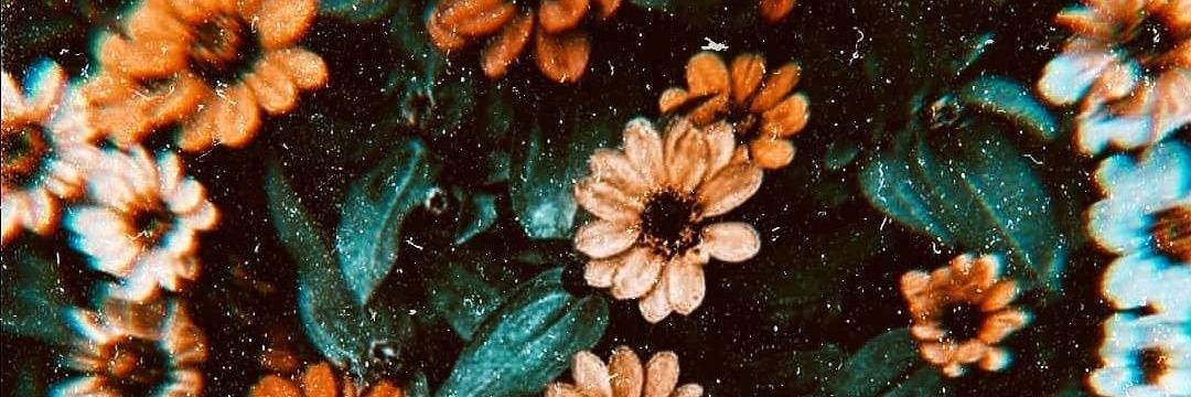 la_tonayan's profile banner image