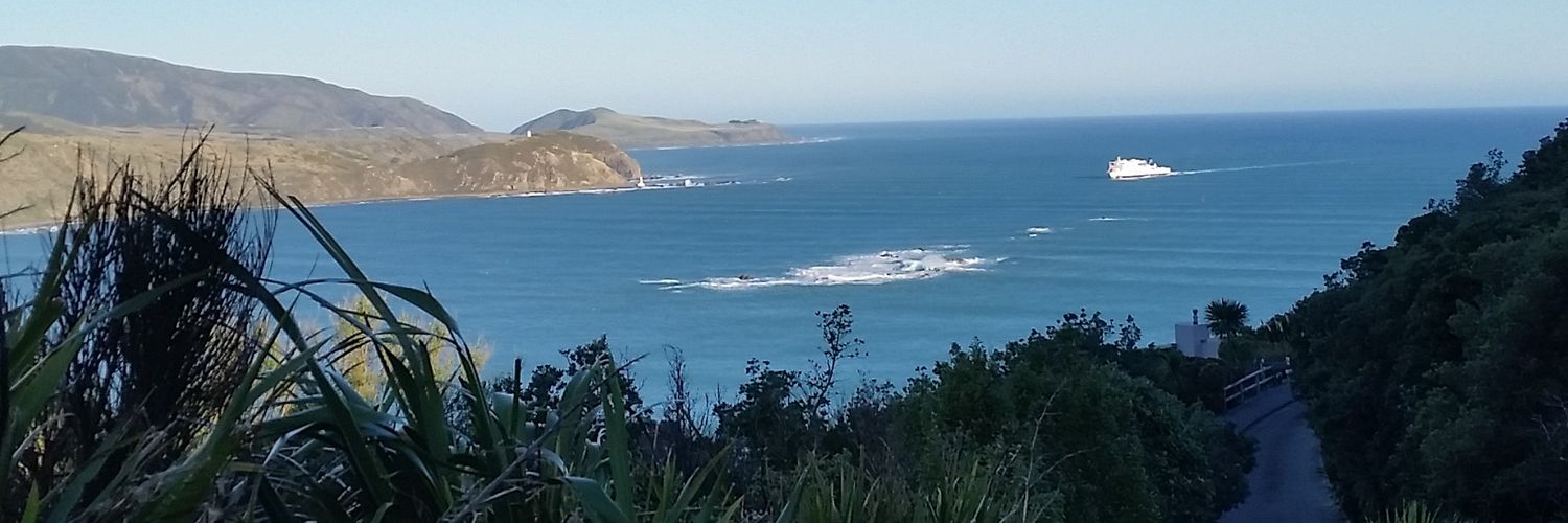 Miramar NZ banner