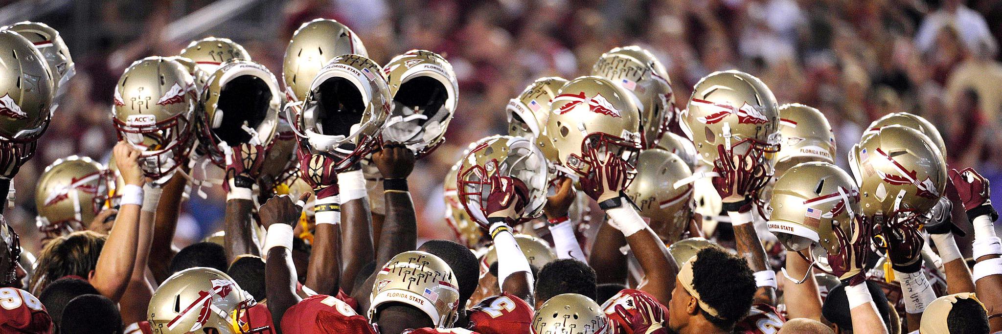 Go Seminoles banner