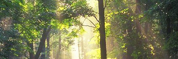 1025_fact's profile banner image