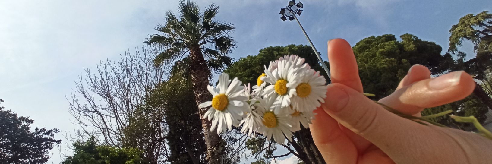 hal_beyani's profile banner image