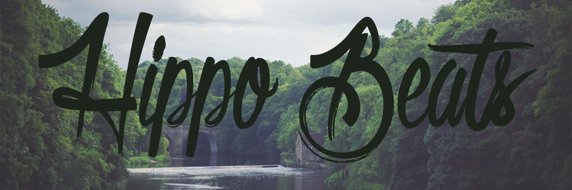 hippobeats's profile banner image