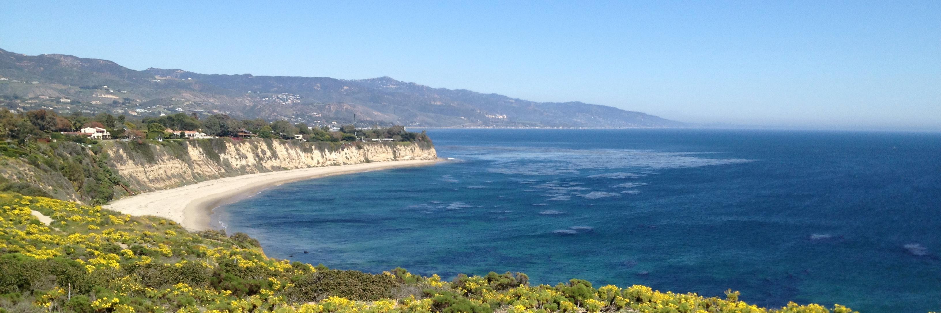 EllenMalibu's profile banner image