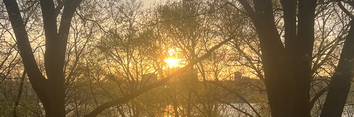 lovesicklight's profile banner image