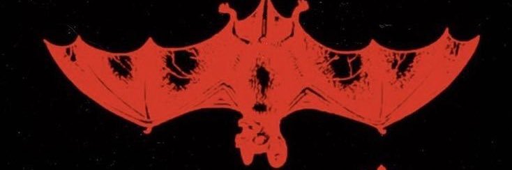 biahrribeiro's profile banner image