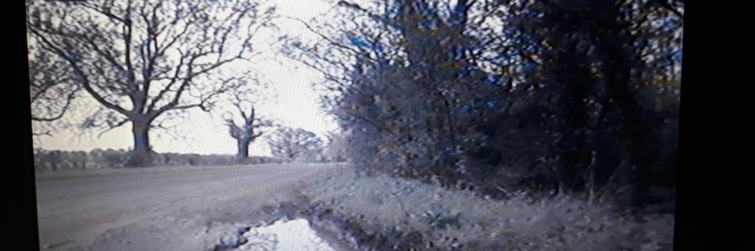 dbhillbilly's profile banner image