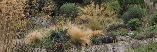 BethChattoGdns Profile Banner
