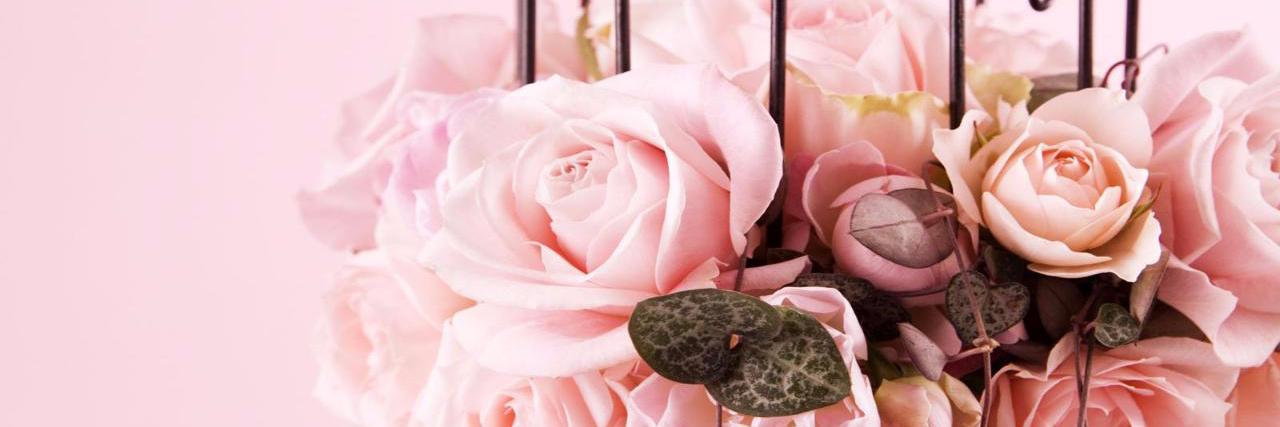 PerfettaChic's profile banner image