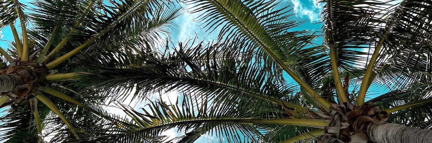AshleyTrumbull_'s profile banner image