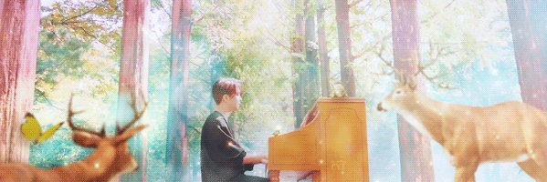 absolutelyCYJ's profile banner image