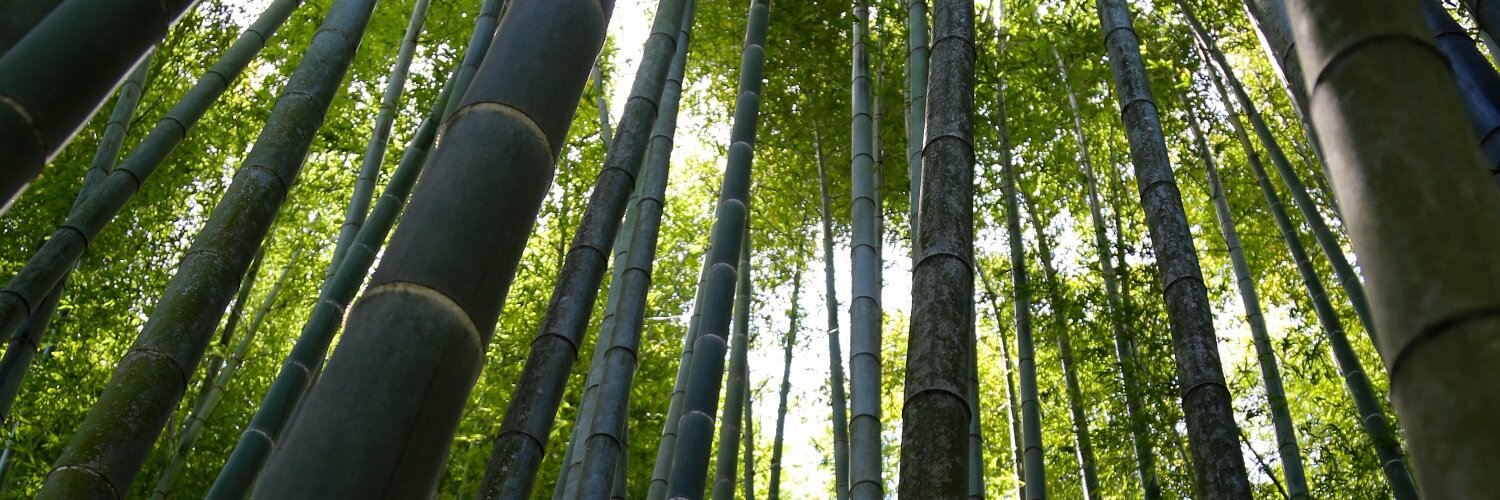 Sylvain Pierre banner