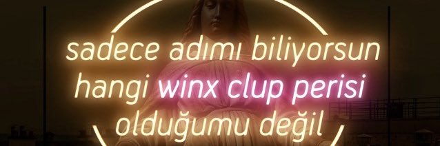 seldavatansever's profile banner image