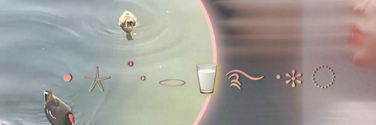 ginsdiaryOo's profile banner image