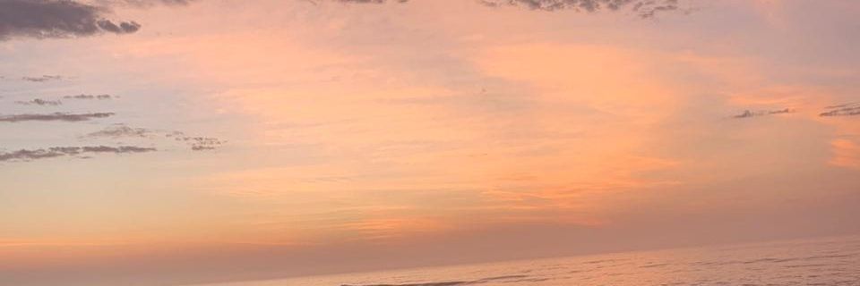 AgathaQueiroz5's profile banner image