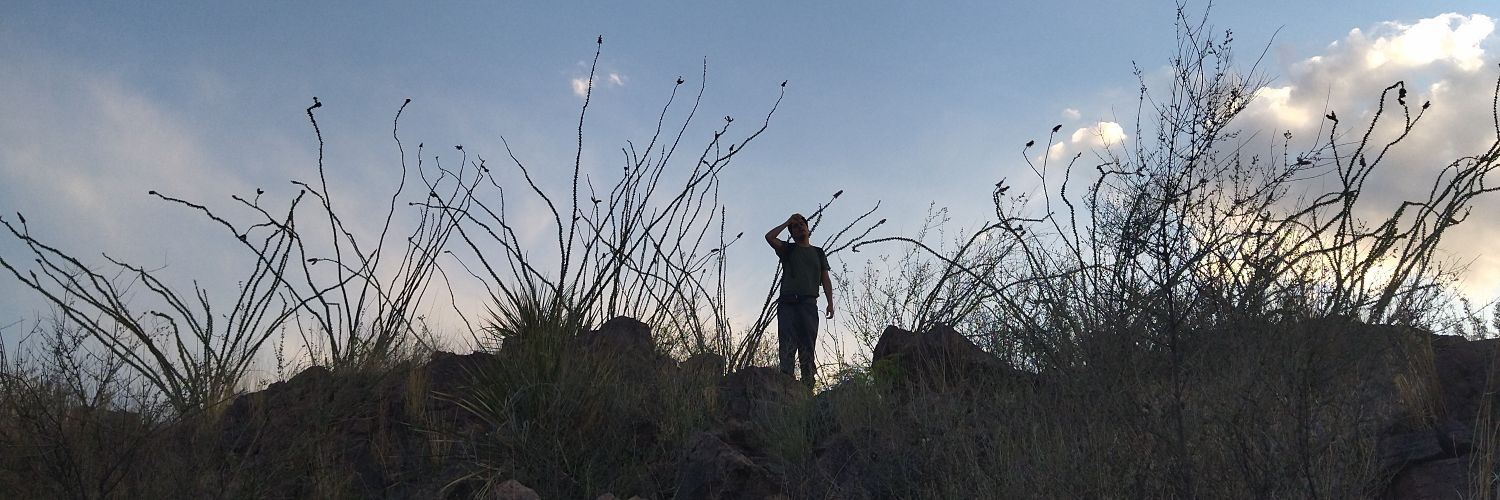bettaniaHa's profile banner image