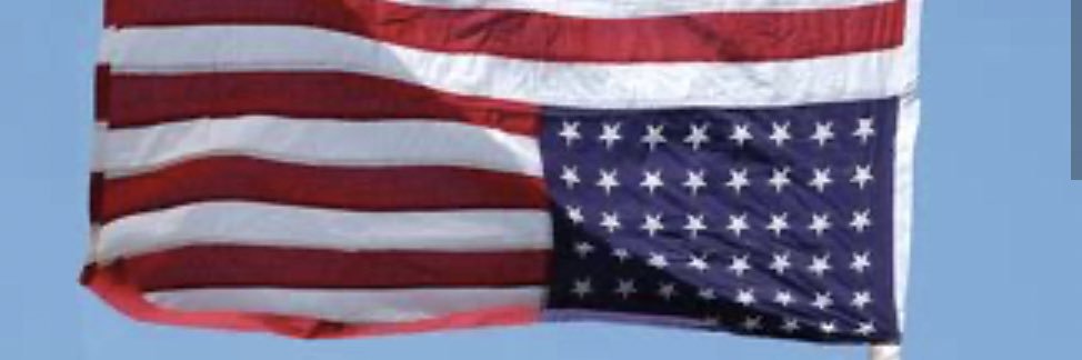 leeknowsal's profile banner image