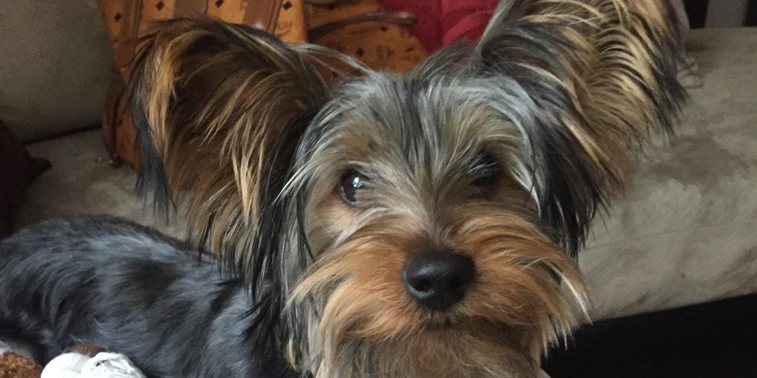 bestateverthing's profile banner image