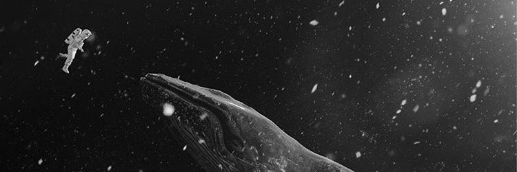 susurrue's profile banner image