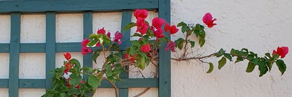 JohannavanEeden Profile Banner
