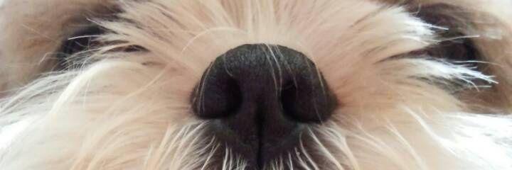 23253moriten's profile banner image