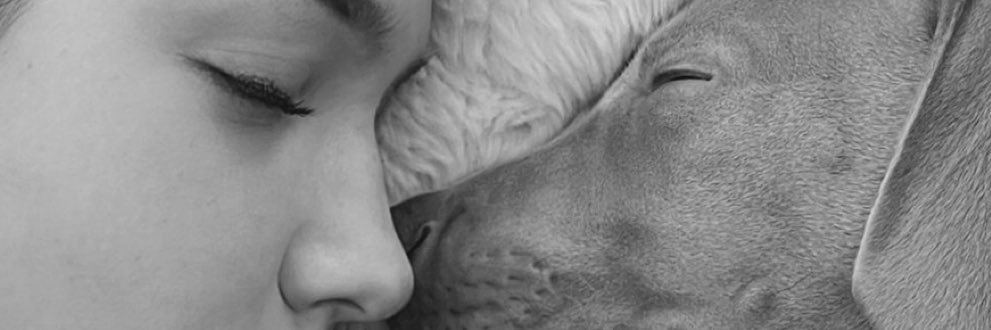 martaglaam's profile banner image