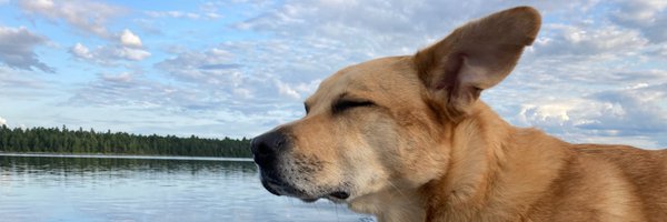BrianMGuay Profile Banner