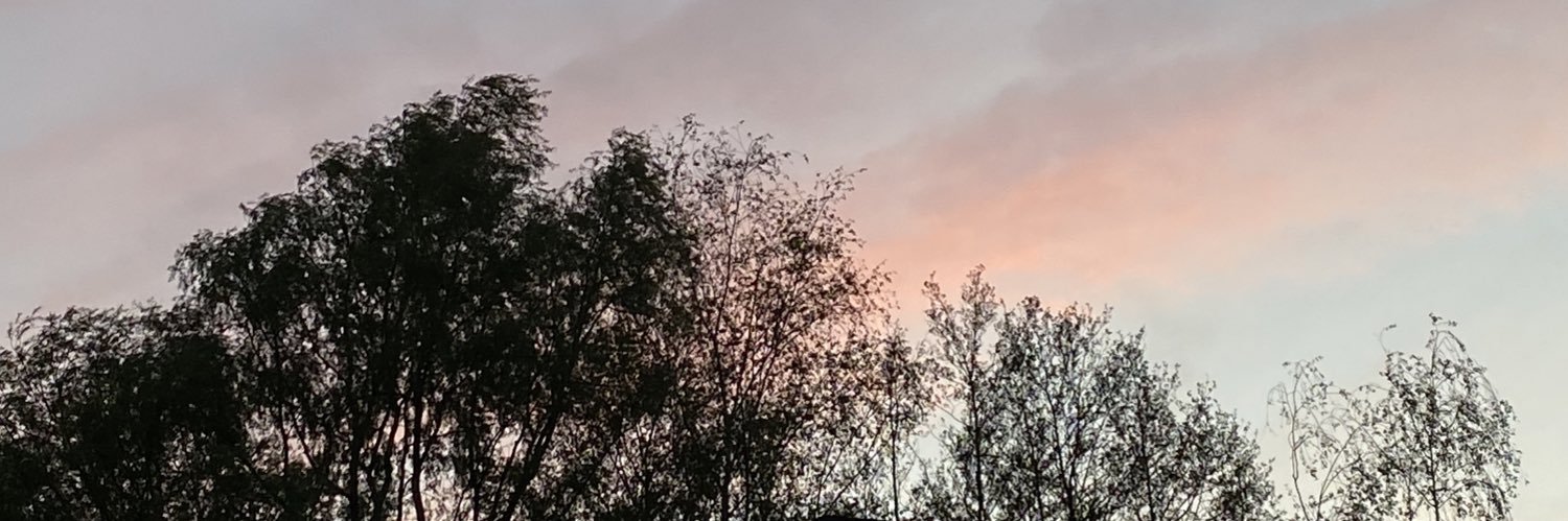 liesbeth_may's profile banner image