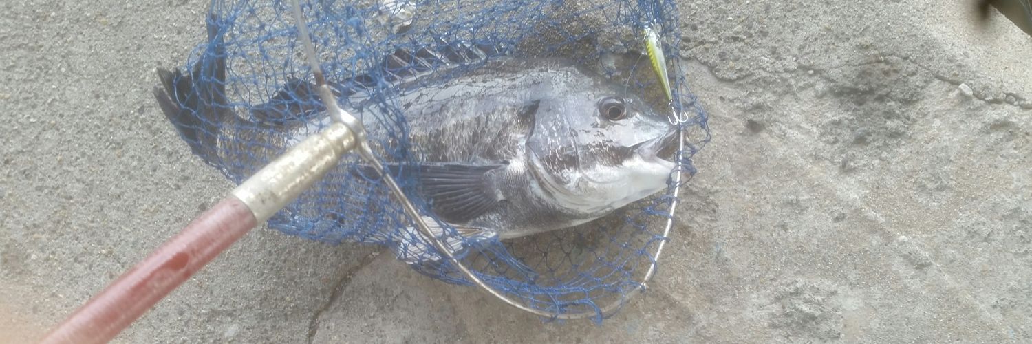 たまごまん banner