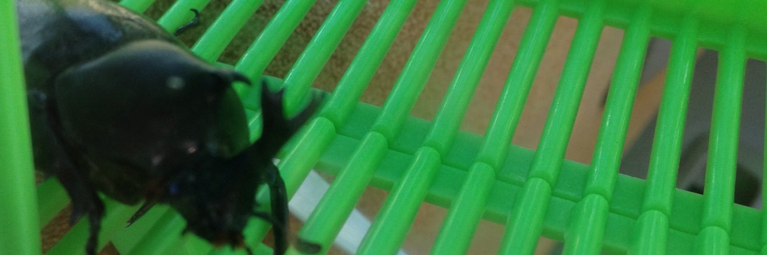 tpjiiadj's profile banner image