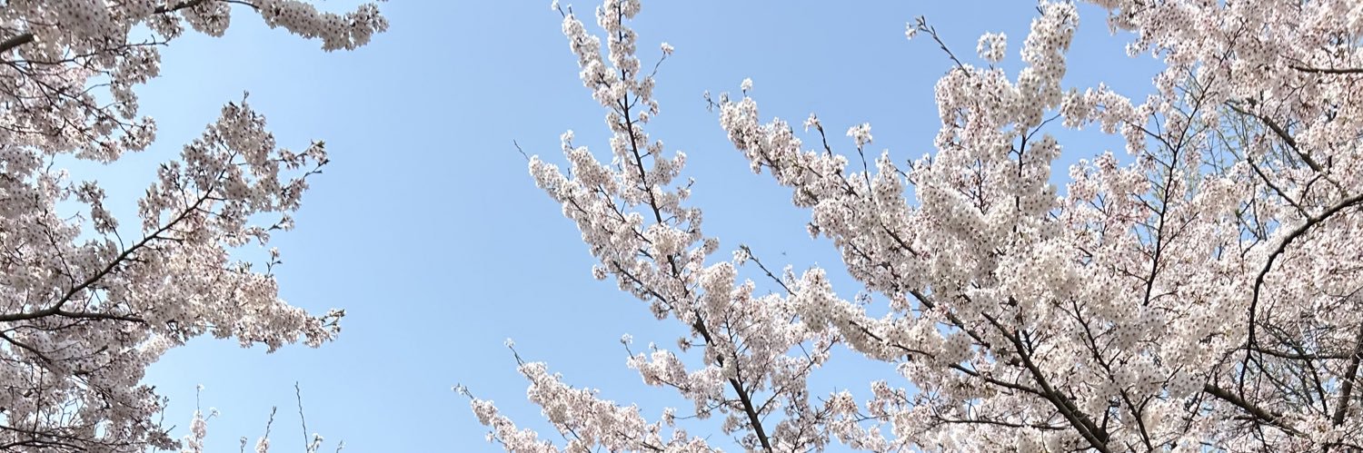 softcreamshop15's profile banner image